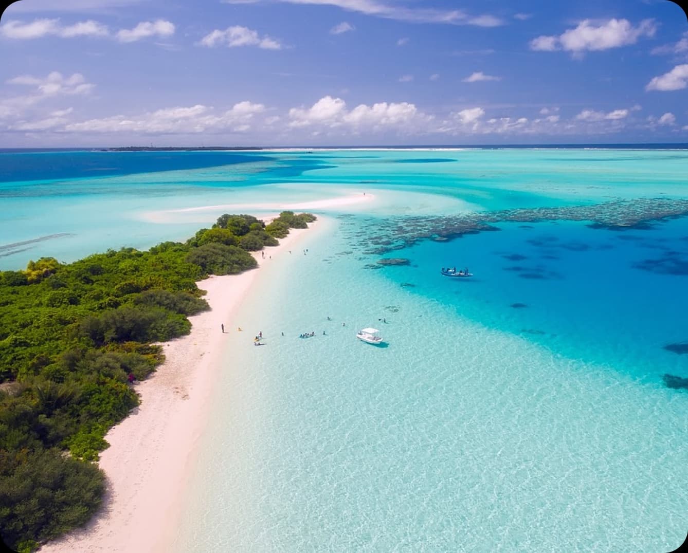 Tropical beach with clear blue water