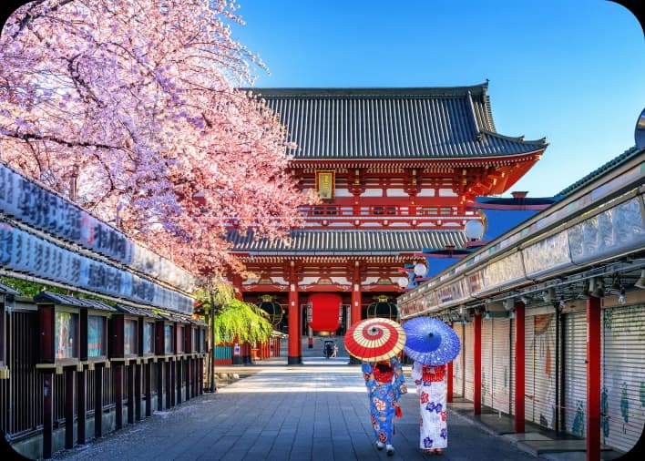 Japanese temple with cherry blossoms